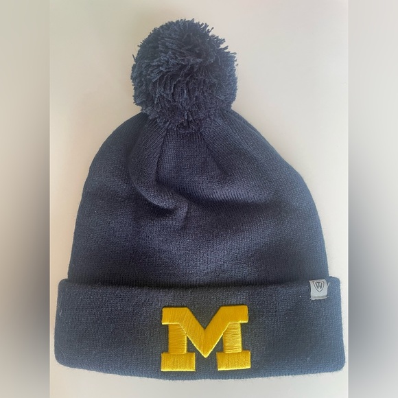 Other - Navy Michigan Toque